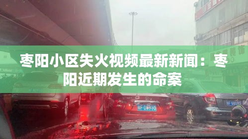 枣阳小区失火视频最新新闻：枣阳近期发生的命案 