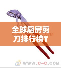 明夷于飞 第2页