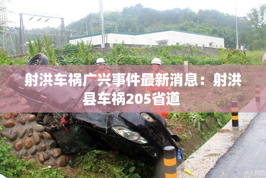 堂堂正正 第2页