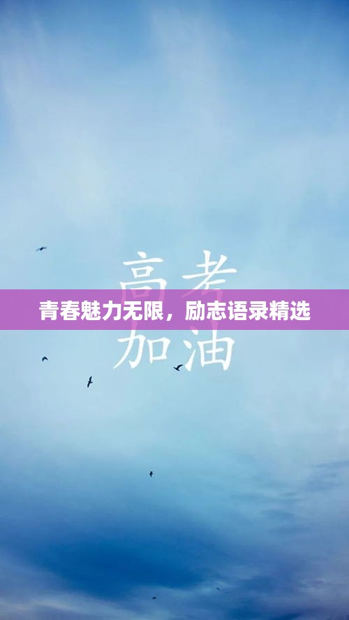 青春魅力无限，励志语录精选
