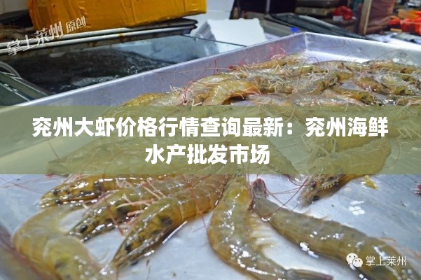 如翚斯飞 第2页