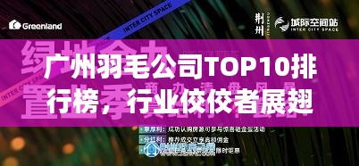 广州羽毛公司TOP10排行榜，行业佼佼者展翅高飞领航未来