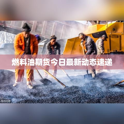 燃料油期货今日最新动态速递
