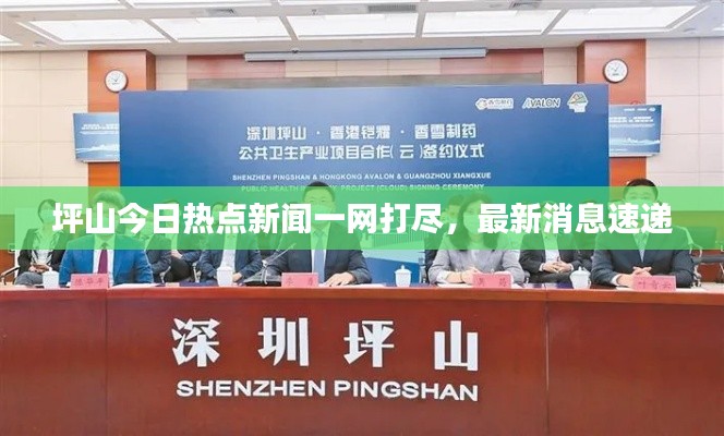 坪山今日热点新闻一网打尽，最新消息速递