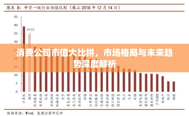 消费公司市值大比拼，市场格局与未来趋势深度解析