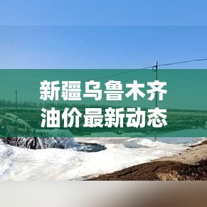 新疆乌鲁木齐油价最新动态及分析报告