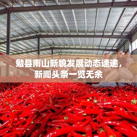 勉县南山新貌发展动态速递，新闻头条一览无余
