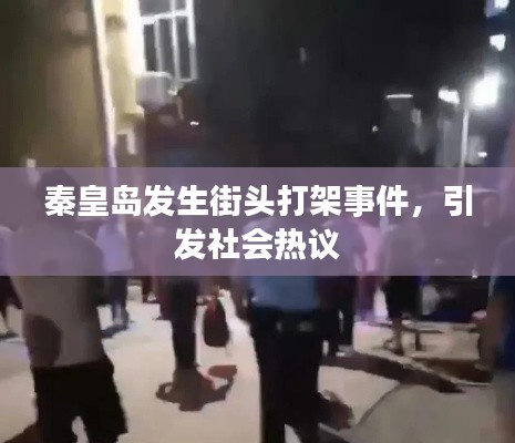 秦皇岛发生街头打架事件，引发社会热议