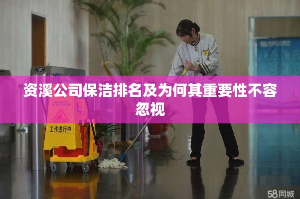 资溪公司保洁排名及为何其重要性不容忽视