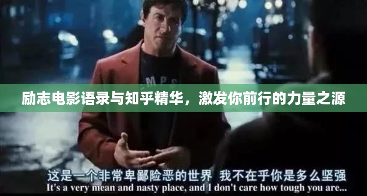 励志电影语录与知乎精华，激发你前行的力量之源