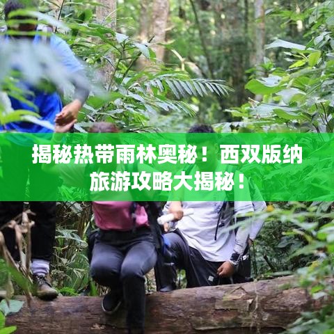 揭秘热带雨林奥秘！西双版纳旅游攻略大揭秘！