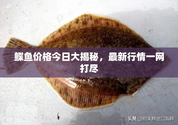 利官近贵 第3页