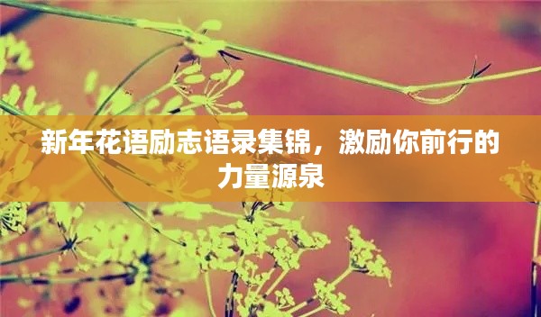 新年花语励志语录集锦，激励你前行的力量源泉