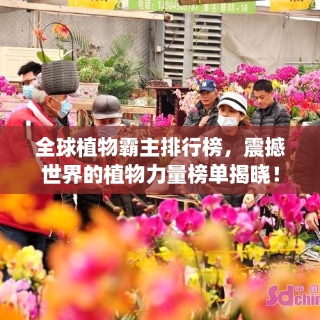 全球植物霸主排行榜，震撼世界的植物力量榜单揭晓！