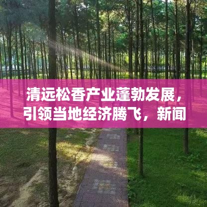 清远松香产业蓬勃发展，引领当地经济腾飞，新闻头条揭秘松香魅力