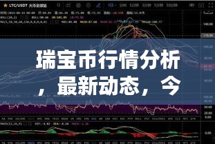 瑞宝币行情分析，最新动态，今日走势一网打尽！