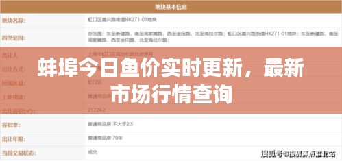 蚌埠今日鱼价实时更新，最新市场行情查询