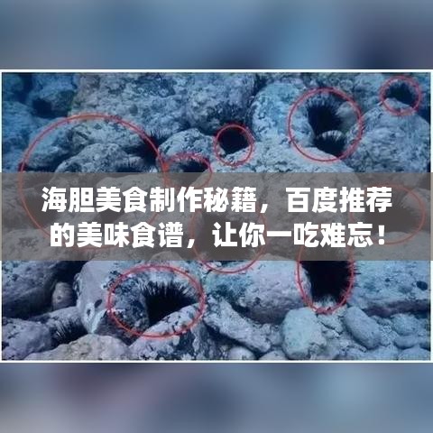 张弛不定 第2页