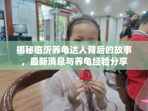 揭秘临沂养龟达人背后的故事，最新消息与养龟经验分享