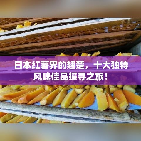 日本红薯界的翘楚，十大独特风味佳品探寻之旅！