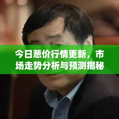 今日葱价行情更新，市场走势分析与预测揭秘