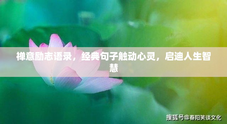 禅意励志语录，经典句子触动心灵，启迪人生智慧