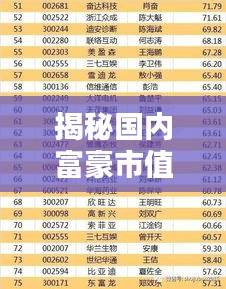 揭秘国内富豪市值排名前十，谁是真正的亿万富翁？