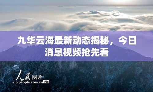 九华云海最新动态揭秘，今日消息视频抢先看