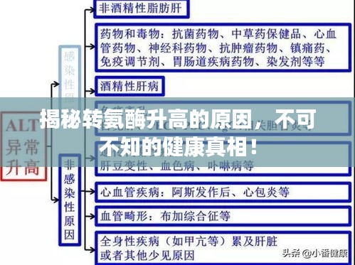 揭秘转氨酶升高的原因，不可不知的健康真相！
