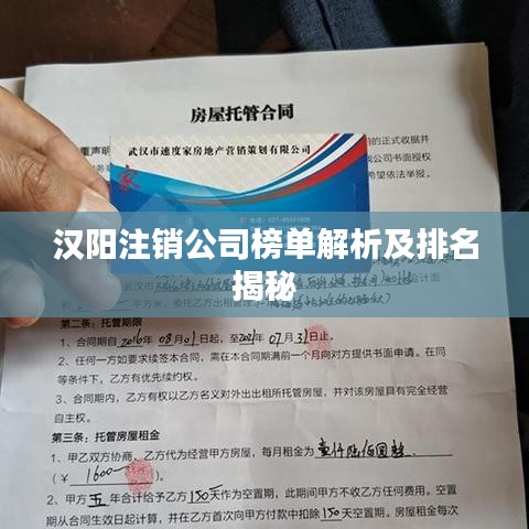 汉阳注销公司榜单解析及排名揭秘