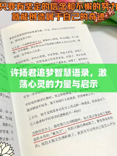 许扬君追梦智慧语录，激荡心灵的力量与启示