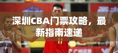 深圳CBA门票攻略，最新指南速递