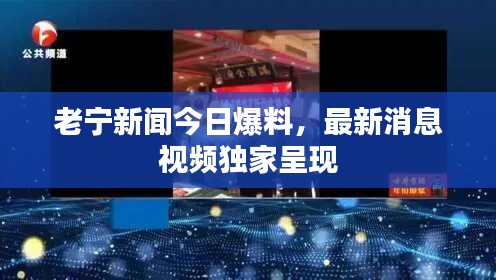 老宁新闻今日爆料，最新消息视频独家呈现