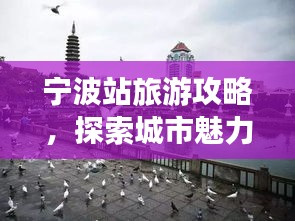 宁波站旅游攻略，探索城市魅力必览！