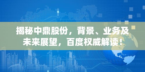 揭秘中鼎股份，背景、业务及未来展望，百度权威解读！