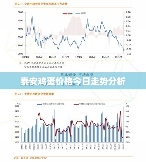 泰安鸡蛋价格今日走势分析