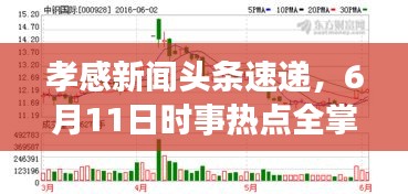 孝感新闻头条速递，6月11日时事热点全掌握