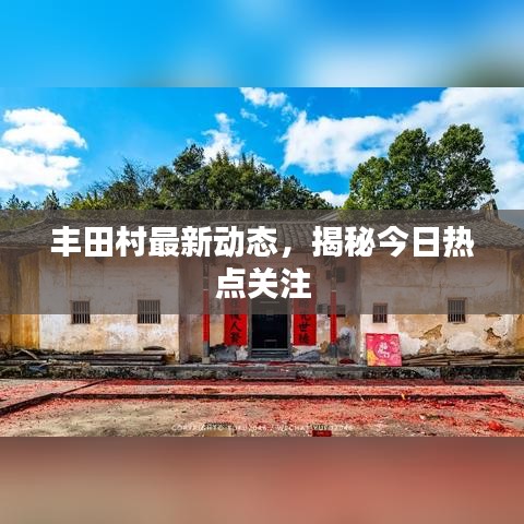 丰田村最新动态，揭秘今日热点关注
