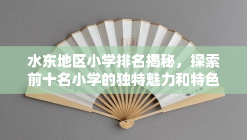 水东地区小学排名揭秘，探索前十名小学的独特魅力和特色教育之路