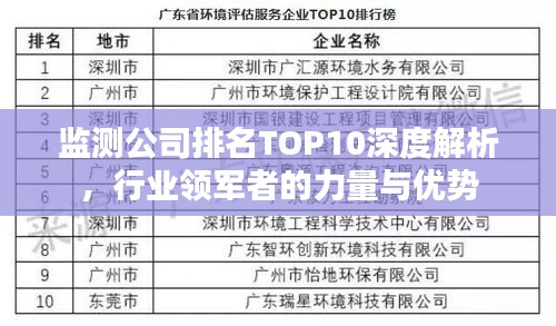 监测公司排名TOP10深度解析，行业领军者的力量与优势