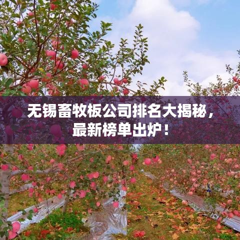 萍水相逢 第2页