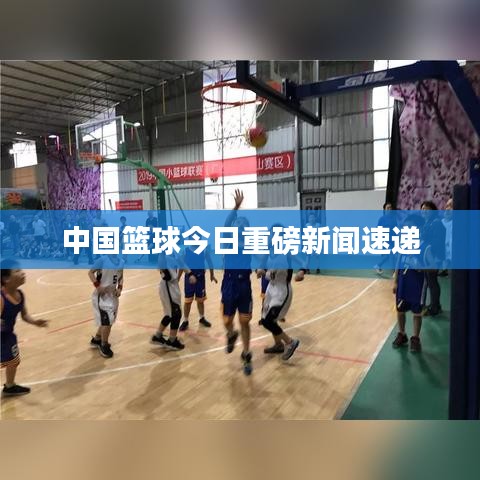 中国篮球今日重磅新闻速递