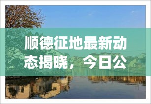 候鸟南飞 第2页