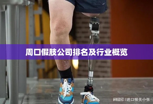 周口假肢公司排名及行业概览