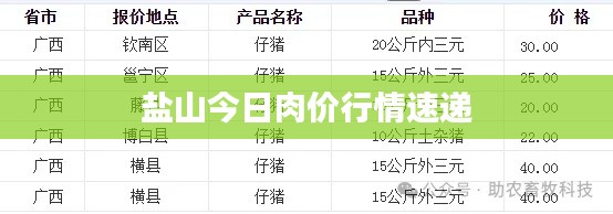盐山今日肉价行情速递