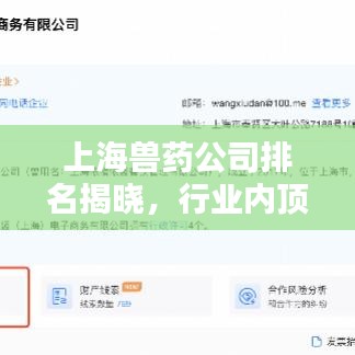 上海兽药公司排名揭晓，行业内顶尖企业榜单