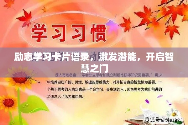 尽心竭力 第2页