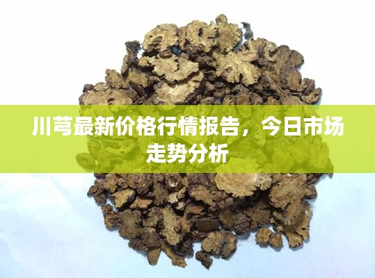 川芎最新价格行情报告，今日市场走势分析
