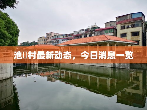 池滘村最新动态，今日消息一览