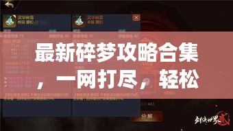 最新碎梦攻略合集，一网打尽，轻松掌握游戏技巧！